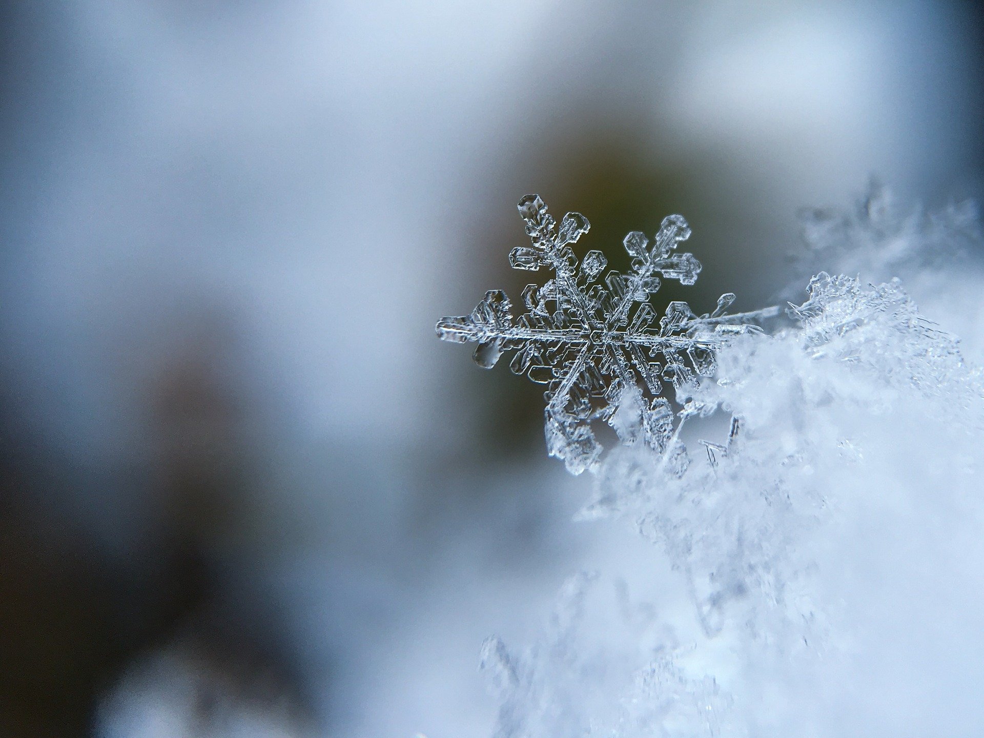 Winter-Themed STEM Activities - Project Learning Tree