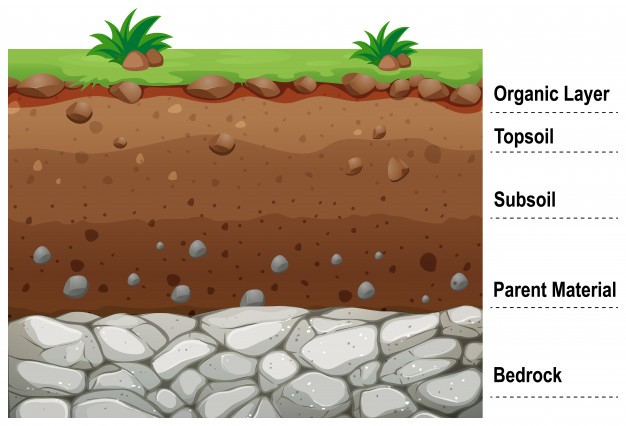 layers-of-soil-from-organic-layer-to-topsoil-then-subsoil-then-parent-material-and-finally-bedrock