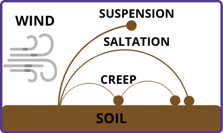 wind-pushes-soil-suspending-it-in-the-air-and-moving-long-distances-saltation-is-when-soil-is-carried-through-short-bursts-of-wind-and-creep-is-when-soil-is-pushed-short-distances-by-wind.