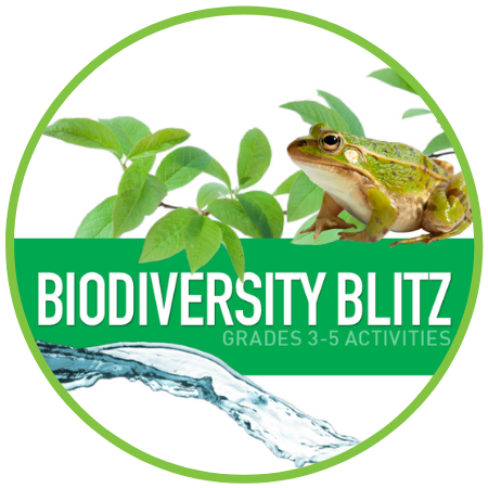 circular graphic of a frog above a stream of water text reads biodiversity blitz