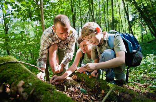 children inspect a log in a forest