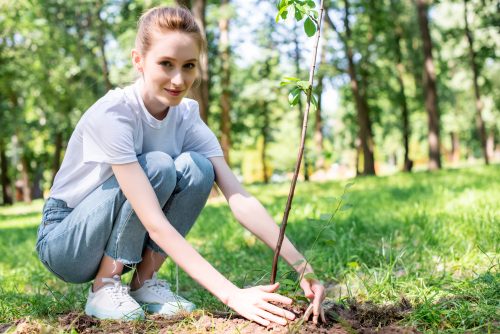 young woman squats to plant a young tree