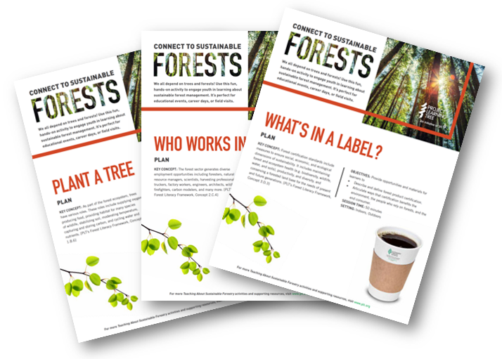 three learn about forests activities laid out in a fan