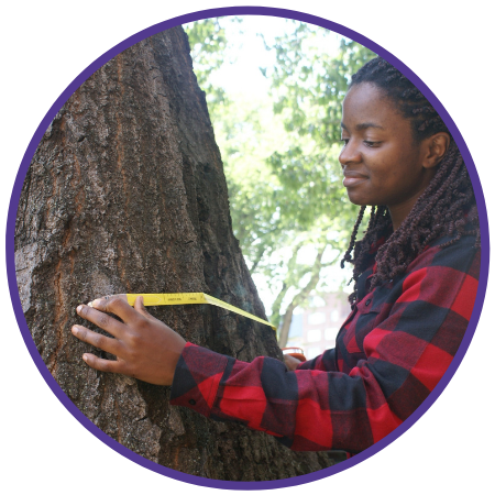 young woman measures a tree trunk