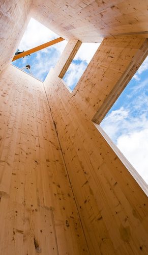 building with cross laminated timber