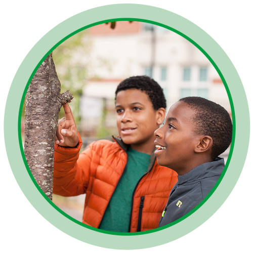 two young boys in jackets examine a broken tree branch