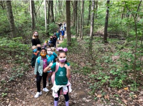 children walk through a forest