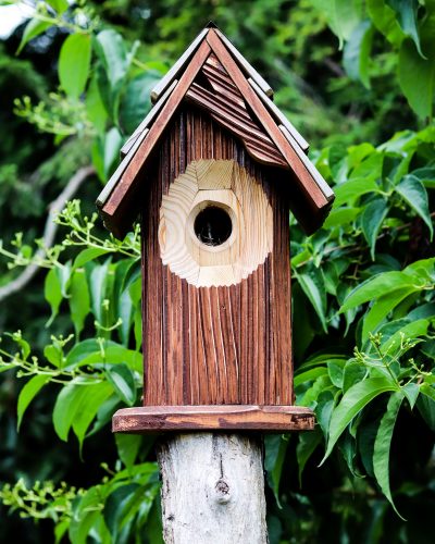 wooden bird house