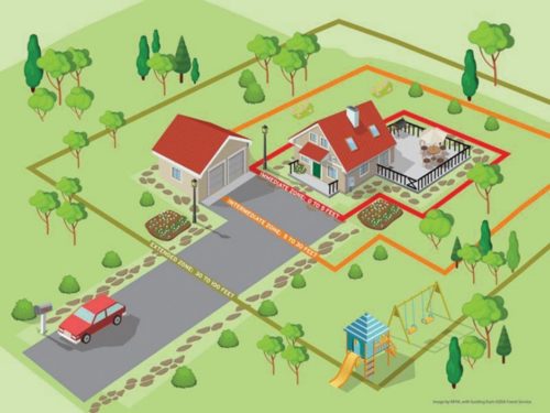 illustration of a home and its surroundings that make it safer from wildfire