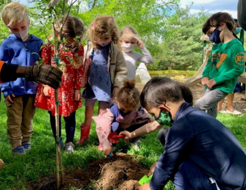 masked students plant a tree outdoors