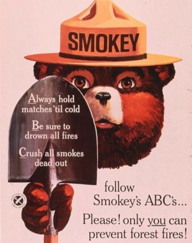 vintage poster of Smokey Bear