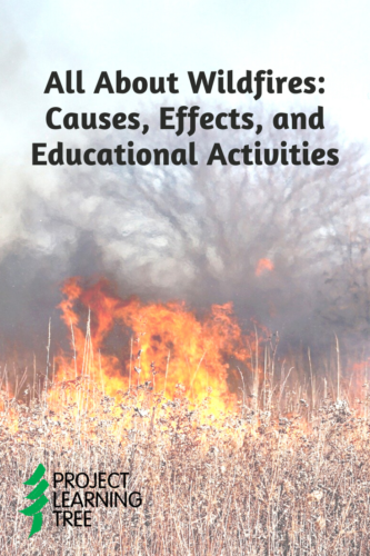 Project In Controlled Environment Project Module Incidents Lessons
