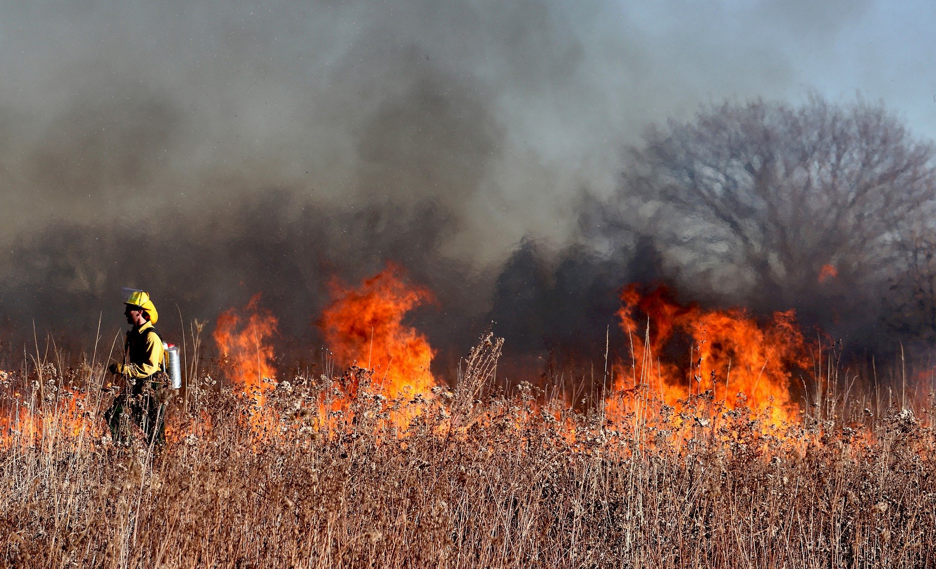 Firefighter in a burning field