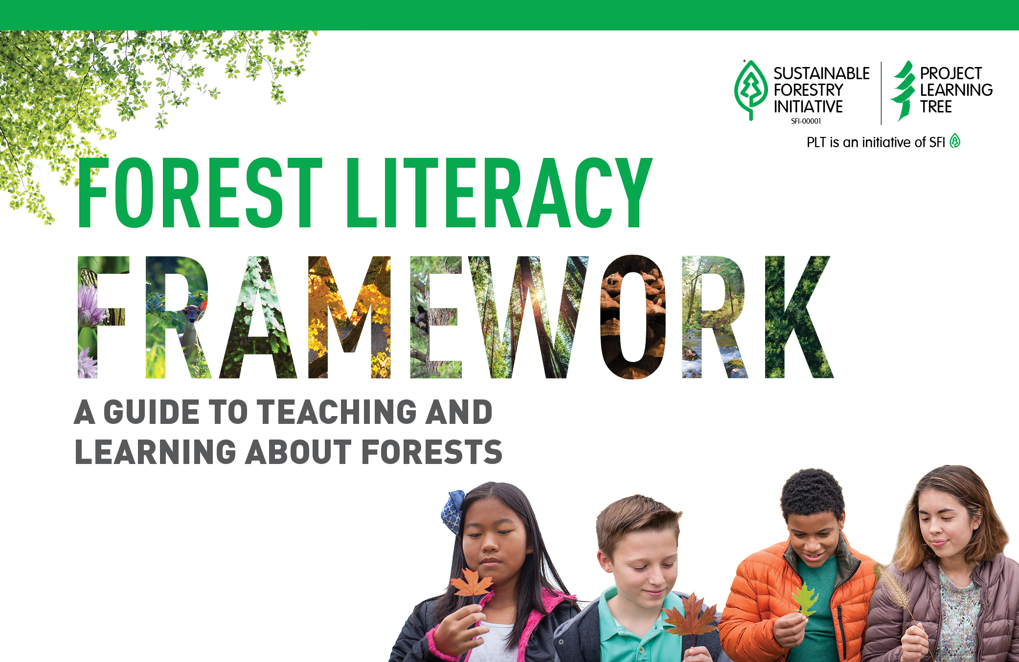 cover of plt's forest literacy framework with four different children inspect leaves in front of a white background