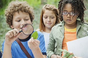 children inspect a leaf with a magnifying glass