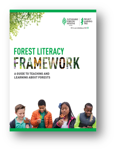 cover of plt's forest literacy framework featuring four children holding different leaves and plants and inspecting them