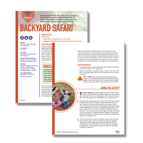 Backyard Safari activity pages