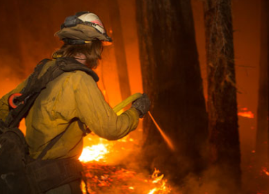 firefighter in front of a burning forest