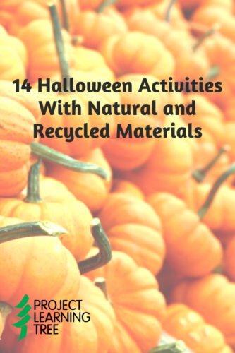 14 Halloween activities with natural and recycled materials