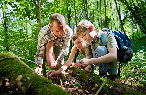 man crouches down to show two young boys the inside of a rotted log surrounded by forest