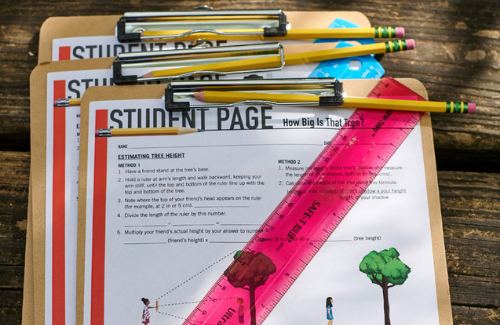 overhead photo of plt student pages attached to clipboards with a bright pink ruler diagonally laid across the student pages