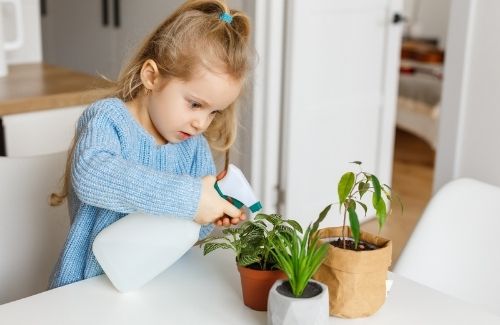 young girl sprays indoor houseplants with a water bottle
