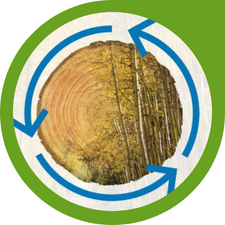 tree cookie with blue arrows in a circle indicating renewability