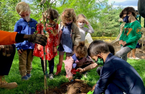 7 children standing or kneeling in a semi circle planting a tree