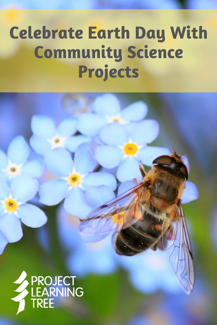 Celebrate Earth Day With Community Science Projects - Project Learning Tree