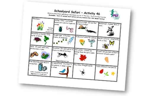 Schoolyard safari bingo sheet with 4 by 4 rows that identify nature in a schoolyard