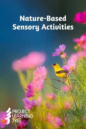 Nature-based sensory activities