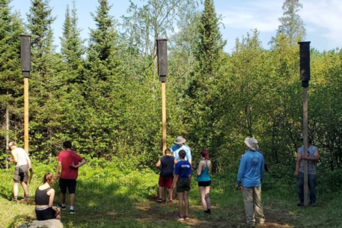 children stand in front of three tall bat boxes made with sfi-certified cedar
