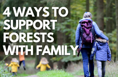 4 ways to support forests with family text overlaid on photo of older woman walking with children through a forest