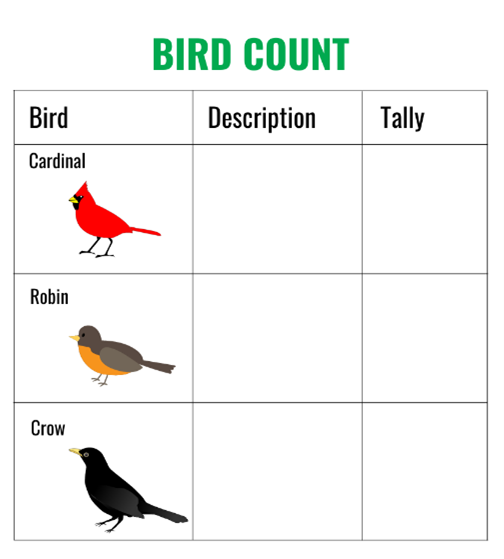 3 by 3 chart with the headers bird description and tally. In the bird column there is a picture of a cardinal robin and crow
