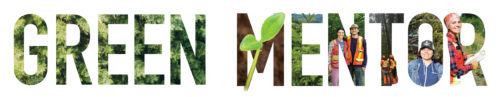 The words green mentor with images of trees inside each letter