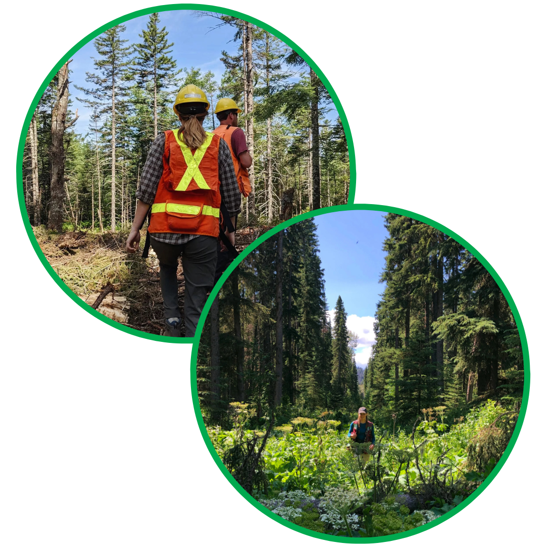 two green jobs youth wearing High-Visibility Safety Apparel walking through a forest