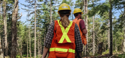 two green jobs youth wearing High-Visibility Safety Apparel walking through a forest