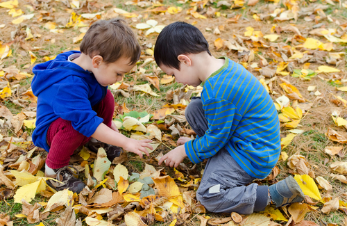 two young boys counting leaves in a forest
