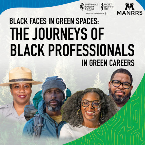 Black Faces in Green Spaces The Journeys of Black Professionals in Green Careers