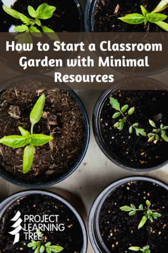 how to start a classroom garden with minimal resources