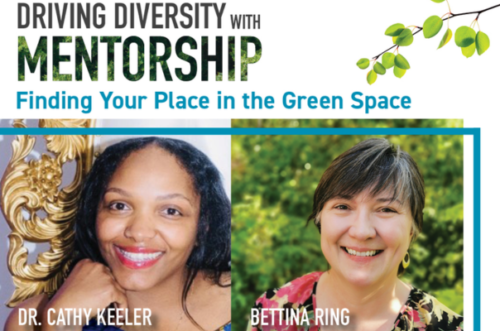 Driving diversity with mentorship