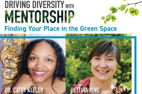 driving diversity with mentorship