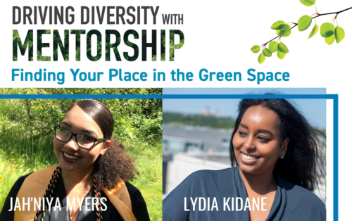 driving diversity with mentorship - finding your place in the green space