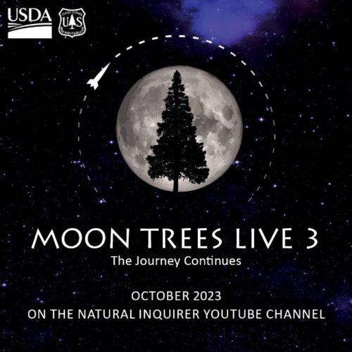 Every Friday in October, join Moon Trees LIVE 3, a distance learning adventure brought to you by the USDA Forest Service and the Natural Inquirer with support from NASA.