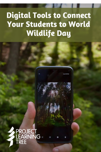 digital tools to connect students with world wildlife day