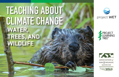 Teaching about climate change, water, trees, and wildlife