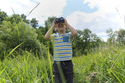 Young boy in a field looking through binoculars