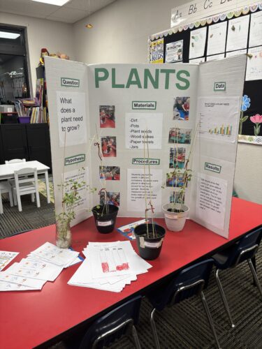 career fair plant display on top of a red table