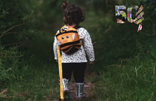 young child walking along a forested trail. At the top left there is a logo of 50 years of project learning tree