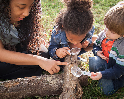 A photograph depicting an educator teaching two young children about nature, in nature.
